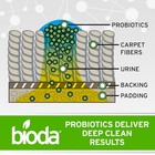 Bioda Pet Stain And Odor Eliminator   Pet Urine Enzyme Cleaner   Stain Remove   