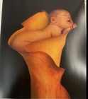 Anne Geddes   Celine Dion   miracle  Cd   Book Of Beautiful Color Baby Photos