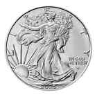 Lot Of 5 - 2025  1 American Silver Eagle 1 Oz Bu Intact Uncirculated