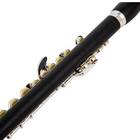 Aurosus Ape-16 Professional African Blackwood Piccolo C Key Silver Plated