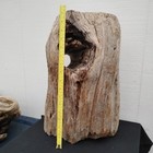 Driftwood Stump Base With Large Natural Hole