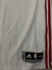 Adidas Rev 30 Delaware 87ers Game Worn Used Basketball Jersey Nba D League Bucks