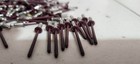 1000 Burgandy  red stainless Steel Pop Rivets 1 8  X 3 8  Dome Head 4-4 Qty 1000