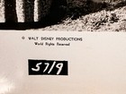 1957 Walt Disney Movie Photo  Westward Ho The Wagons Fess Parker  1