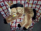 Vintage 1982 Germany Steiff Cosy Pony Horse  5360 Stuffed Plush Animal Toy Nice 