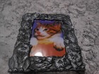Metal Kitty Cat Picture Photo Frame 3 5   5