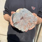 11 1lb Rare Natural Silicified Wood Stump    Rough Wood Fossil Mineral Specimen
