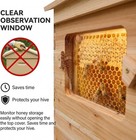 Golden Palace Auto Beehive Beekeeping Hive Honey House With 7 Auto Hive Frames