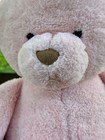 Animal Adventure Pink Teddy Bear Plush 15  Large Stuffed Soft Toy Light Pastel