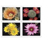 M-nh Scott 5359b Cactus Flowers - 5 Booklets  100 Total  For-ever Stamps