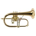 C g  Conn Model 1fg  vintage One  Professional Flugelhorn Sn 656373 Superb