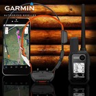Garmin Alpha 10 Bundle Tt25 Dog Device Gps Collar Tracking And Training