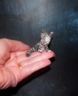 Artisan Cat Made To Order Ooak 1 12 Miniature Dollhouse Handmade Realistic Igma