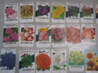 Lot Of 40 Old Vintage 1960 s - Flower Seed Packets - Lone Star - Empty