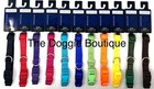 Casual Canine Dog Puppy Collar Bulk Rescue Shelter Nylon  11 Colors  Xs S M L