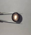 Natural 52 00 Ct Star Sapphire Blue Oval Cabochon Untreated Loose Gemstone