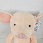Kohls Cares If You Give A Pig A Pancake Plush Stuffed Animal Toy