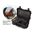Pemf Physio Magneto Equine Animals Pmst Loop Magnetic Horse Physiotherapy Device