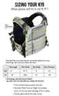 Agilite K19 Plate Carrier 3 0