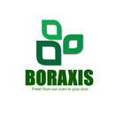 Professional Custom Logo Design Service