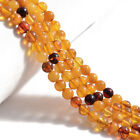 Baltic Multi Color Amber Smooth Round Beads 4mm 5mm 6 5-7mm 7 5-8mm 15 5  strand