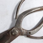 Vintage Japanese Bonsai Pruning Shears 6-1 2 