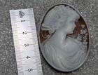 Lovely Antique Hand Carved Shell Cameo
