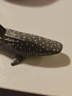 Unbranded Gray Spotted Whale Shark 1996- 3 Inches