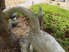 White Heron  Decoy By Jay C Parker Parkertown Nj 1950  Lawn Ornament Folk Art