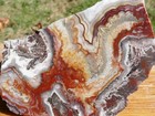 Tcr Laguna Lace Agate jasper lapidary Rough Slab 356 Grams