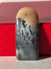 Dendritic Agate Cabochon Kazakhstan