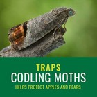 Natria Codling Moth Pheromone Trap  Ready-to-use  3 380 Sq  Ft   1-pack 