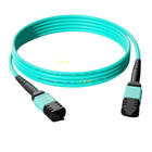 1-100m Mpo Female To Mpo Female 8 12f Om4 Mtp Fiber Optical Patch Cord Lszh Lot