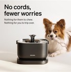 Cordless Dog Water Fountain 2 5l Stainless Steel Tray Automatic Dispenser