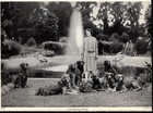 1930s Antique Golden Retriever Dog Print Champion Woolley Line Goldens 6102c