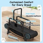 Dog Treadmill For Large Dogs Treadmill Dog Training Tool For Medium Dogs Tread 
