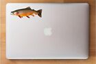 Brook Trout Fish Sticker Laptop Tacklebox Car Window Decal Amazing Detail 5 x2 