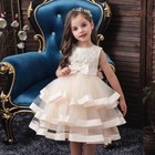 Flower Girl Princess Dress Baby Kids Party Wedding Bridesmaid Formal Tutu Gown