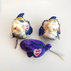 2 Swibco 2000 Puffkins Mystic The Millennium Wizards   1 Danny Dino Plush 3 Tota