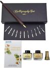Calligraphy Set 17 Pieces  Includes Calligraphy Pens  2 Bottle Inks  12 Nibs