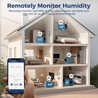 Alorair Hd55 113ppd Wifi Crawlspace Dehumidifier Basement Garage 5-year Warranty