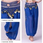 Women Belly Dance Costume Beads Coins Side Slits Chiffon Harem Pants 9 Colors