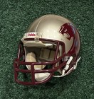 Mid 1980s Michigan Panthers Game Issued Riddell Wd-1 Helmet