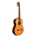 Cordoba C10 Cd in Acoustic Nylon String Classical Guitar