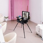 Rolling Makeup Train Case Travel Cosmetic Trolley Organizer W led Light  mirror