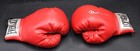 Muhammad Ali Signed Everlast Red Boxing Glove Autograph Jsa Loa Zj23824