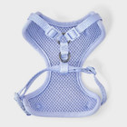 Cat Leash And Harness Tether Set - 2pc - Lilac Purple - Boots   Barkley   
