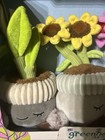 Greenhouse By Russ 12 Inch Plush Plants 3-pack Flowers Officially Licensed New