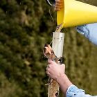 Metal Wild Bird Feeder Squirrel Proof Bird Feeders For Outside Hanging 6 Antique