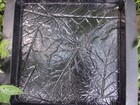 Leaf Stepping Stone Concrete Mold  150 Abs Plastic Paver Mould 16  X 16  X 1 25 